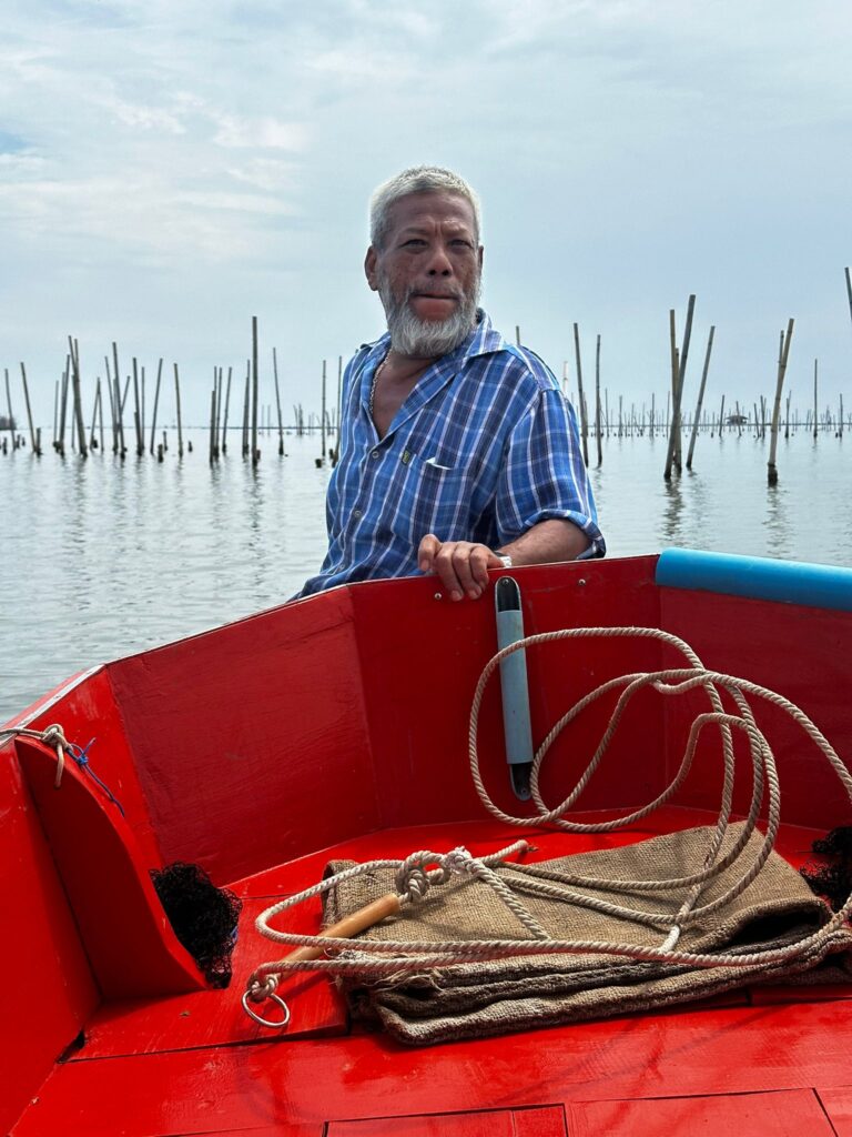 Mangrove boat ride