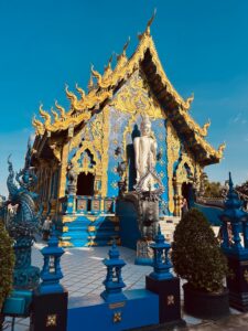 whatsapp image 2025 11 07 at 08.53.54 (3)