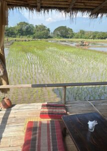 whatsapp image 2025 11 07 at 12.49.07