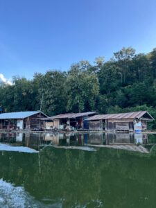 whatsapp image 2025 11 19 at 06.20.55