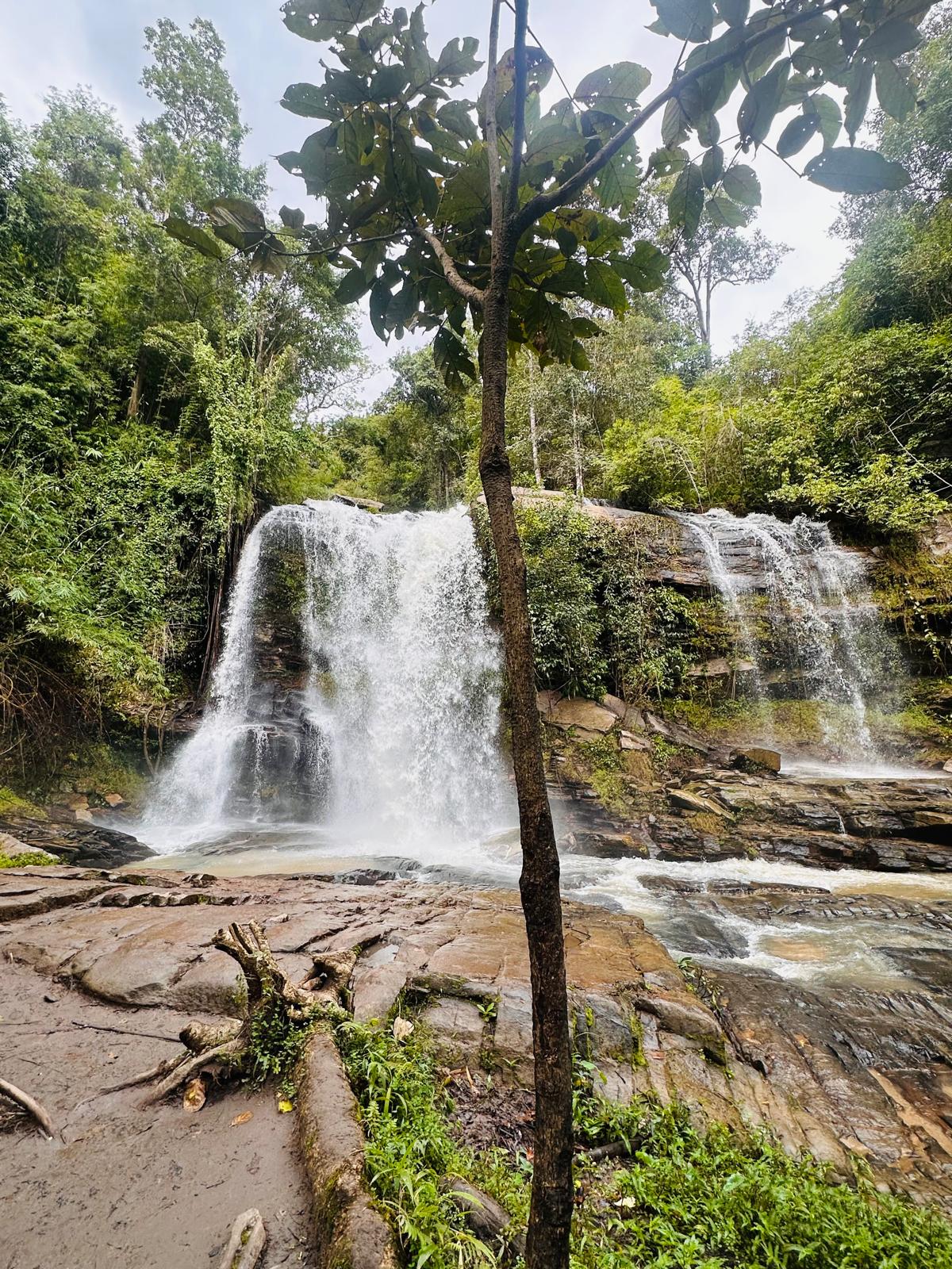 whatsapp image 2025 11 19 at 12.06.10