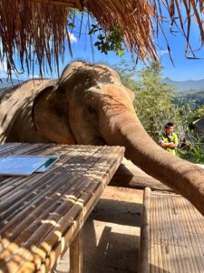 whatsapp image 2025 11 19 at 12.27.53