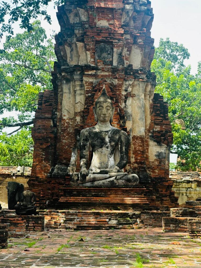 whatsapp image 2025 11 26 at 14.30.05