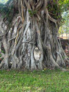 whatsapp image 2025 11 26 at 14.35.05