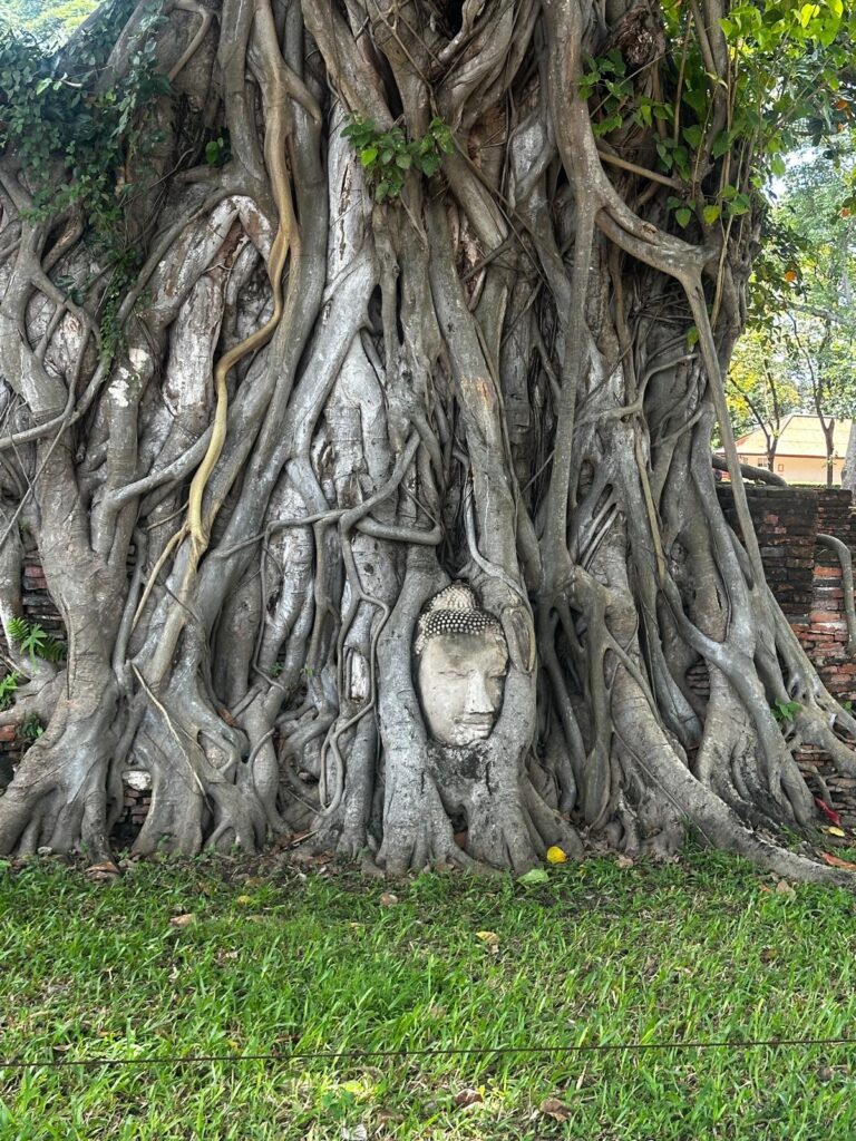 Ayutthaya