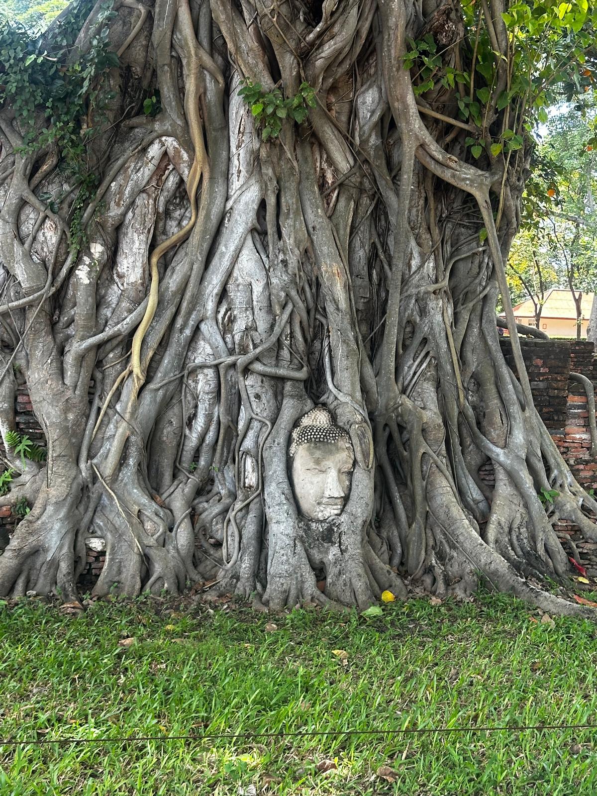 Ayutthaya temple