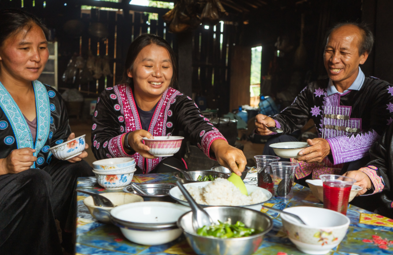 Discover the North Thailand