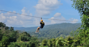 zipline