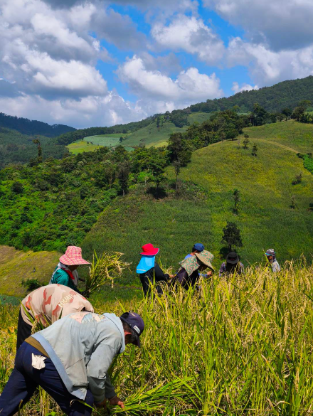 Mae Chaem mae chaem 6