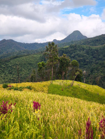 Mae Chaem mountain
