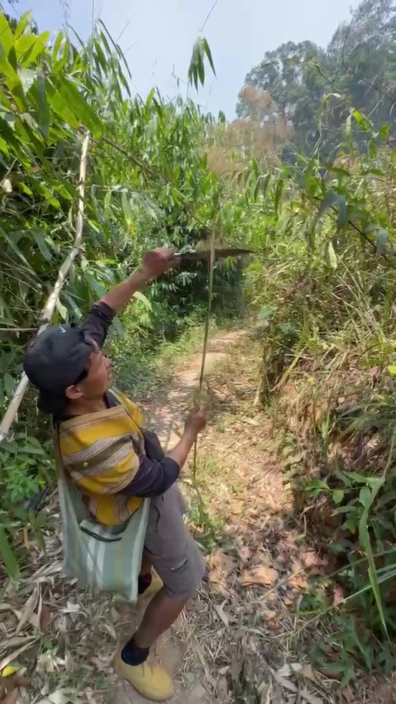 Mae Wang Jungle Trek