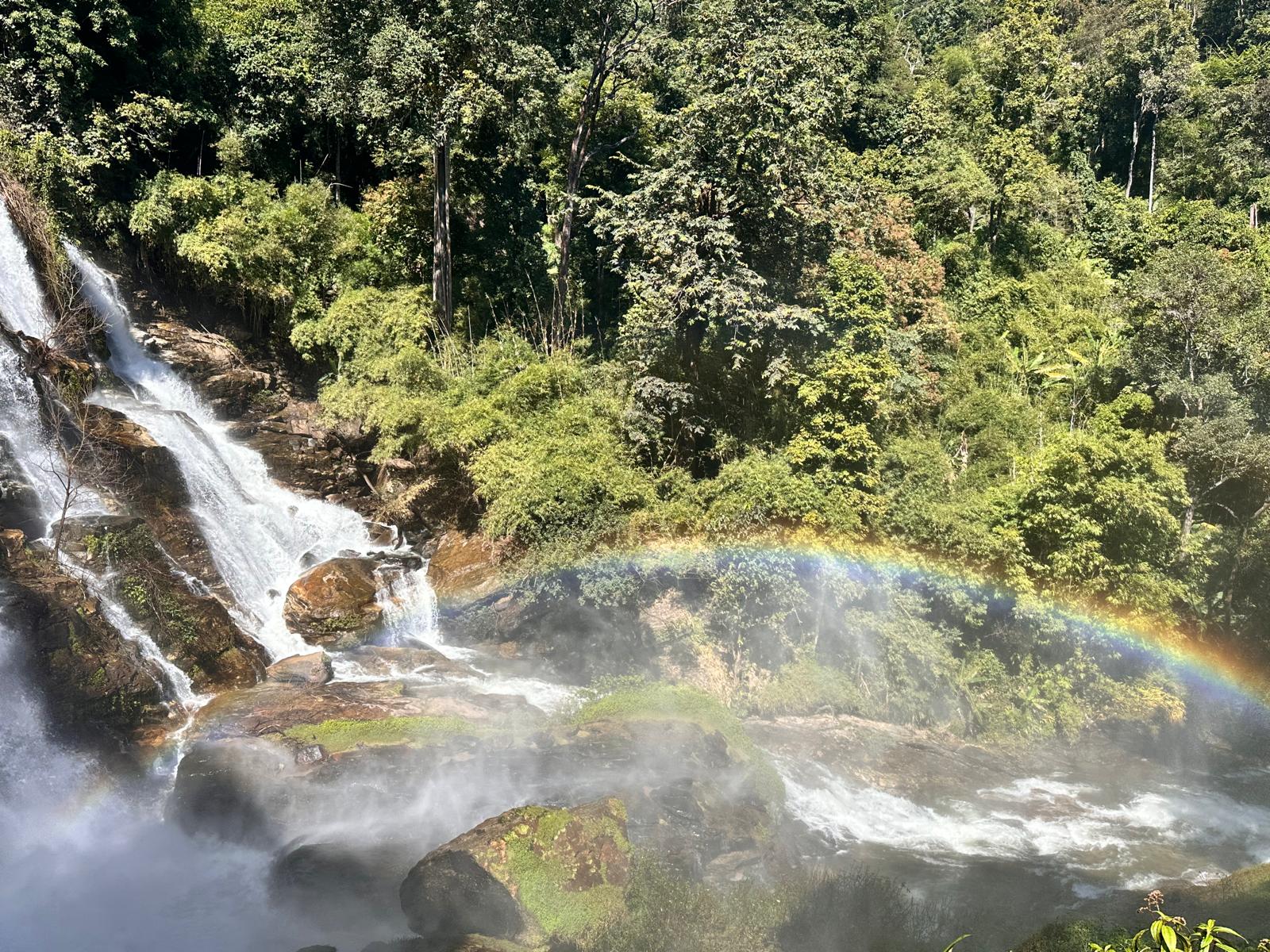 Doi Inthanon summit cloud forest and Karen coffee farm