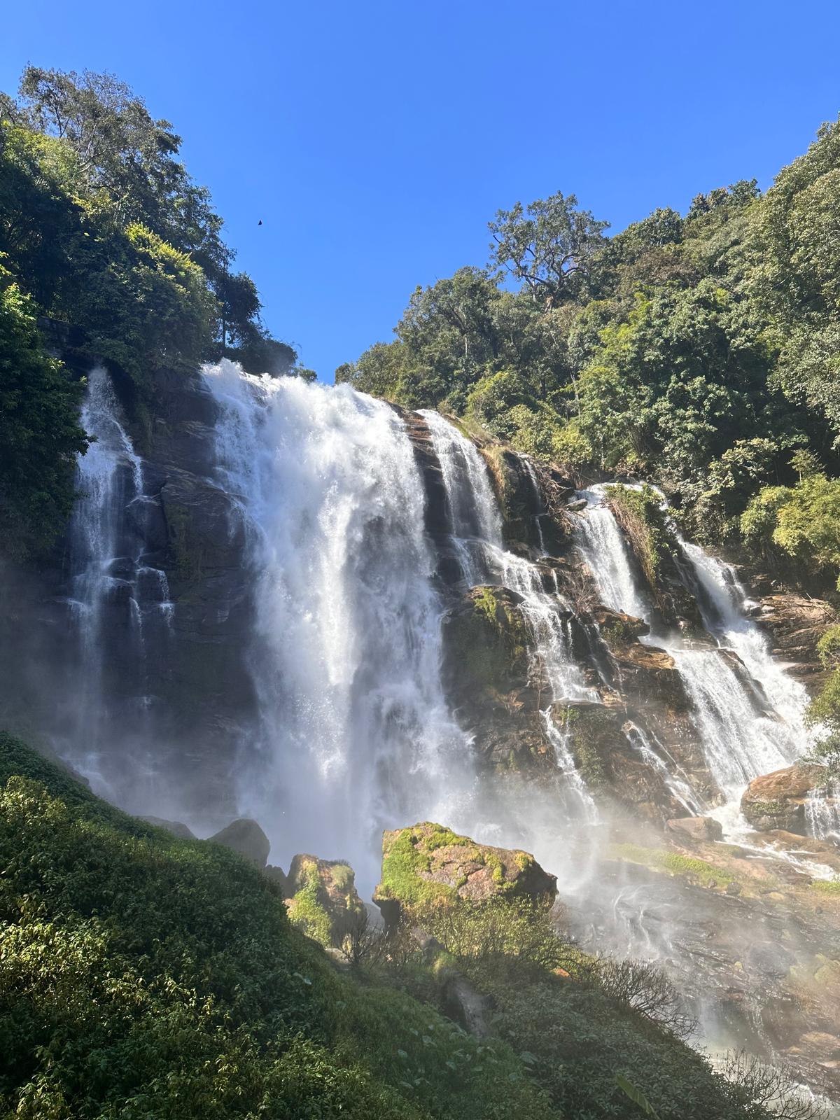 Doi Inthanon cloud forest