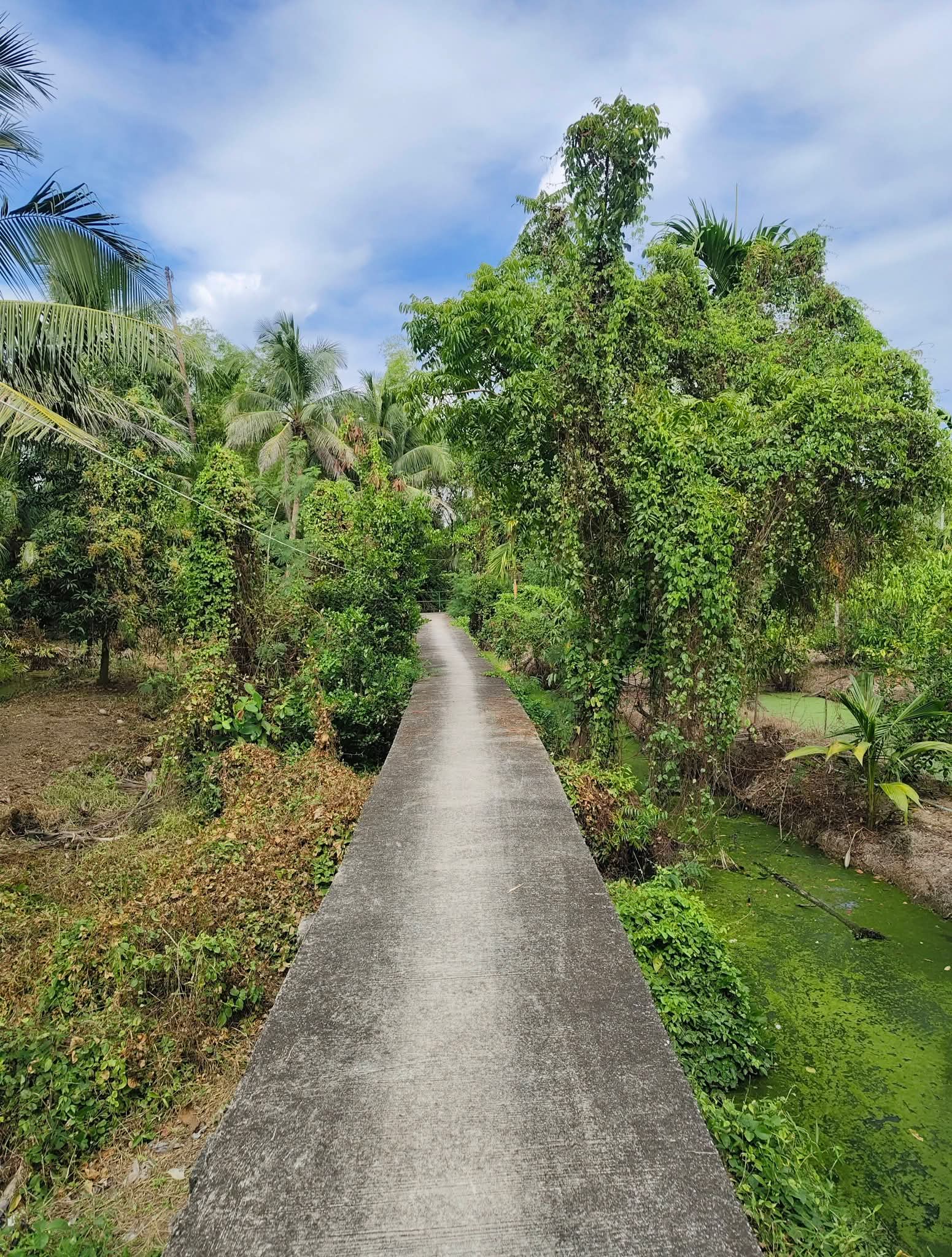 Cycling past local houses in Bang Krachao