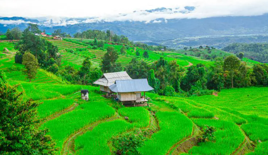 Doi Inthanon