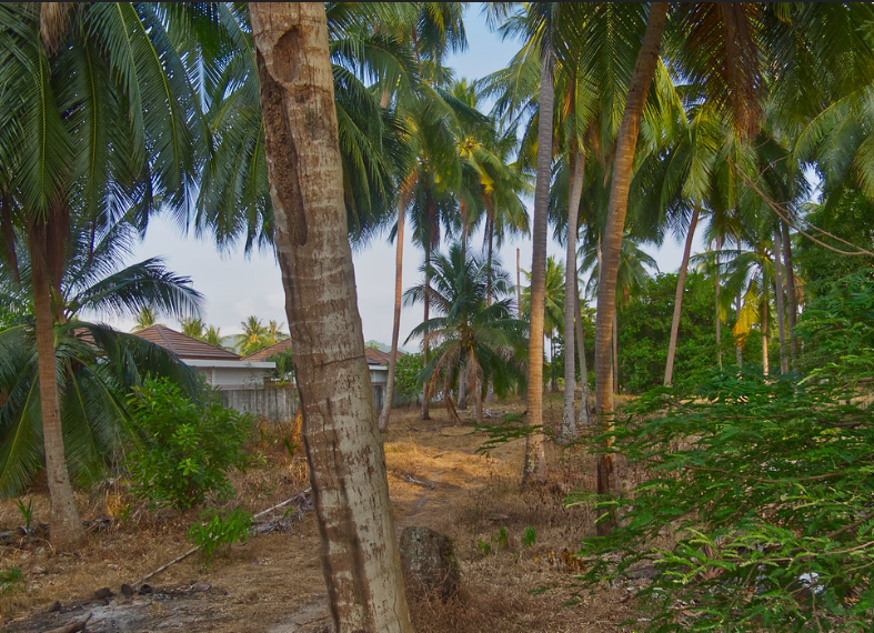 Surat Thani